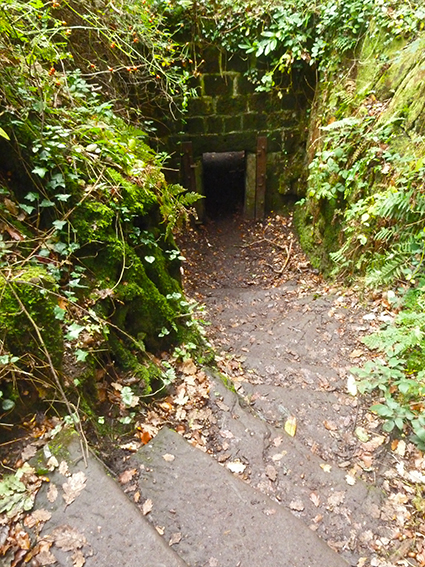 Eastham bear pit stairs
