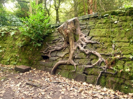 Eastham tree wall